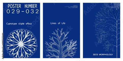 Cyanotype botanical studies displayed as a vertically oriented poster series