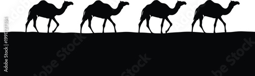 Photography Camel caravan silhouettes walking in desert landscape, travel and migration conc