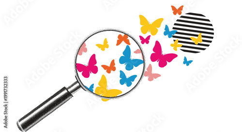 Magnifying glass, colorful butterflies, insect search, zoom effect, vector illustration