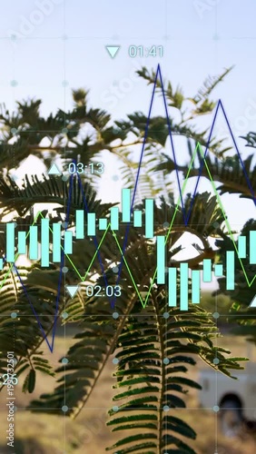 Fern branch swaying on rural path with data appearing, finance candles sliding and showing trends