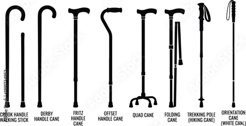 Medical Mobility Equipment Vector Set: Different Types of Walking Canes Silhouettes with Names 2026