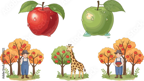Fresh apples with water drops and orchard farming scenes, farmer harvesting fruit and giraffe in nature vector illustration collection