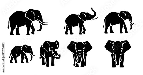 African elephant silhouette icons set, 7 black elephant vector illustrations, wild animal silhouettes for safari and nature branding