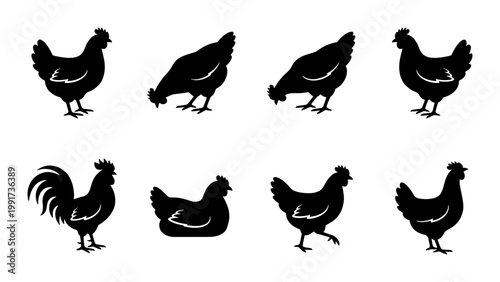 Black chicken silhouettes set, 8 poultry vector icons of hens and roosters, farm bird profile shapes for agricultural branding and logo design