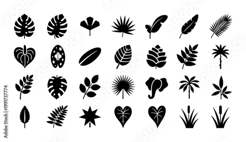Tropical leaf silhouettes, set of 28 black botanical icons, monstera and palm foliage vector elements, exotic jungle plant shapes for summer design