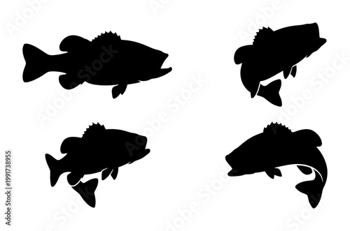 Bass fish silhouette collection, set of 4 largemouth bass vector icons, black fishing graphics for outdoor sports and angling logos