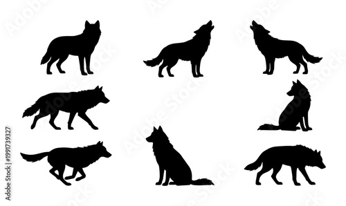 Black wolf silhouette collection, wild predator animal shapes in various poses, howling and running wolf vector set for nature logos and wildlife designs