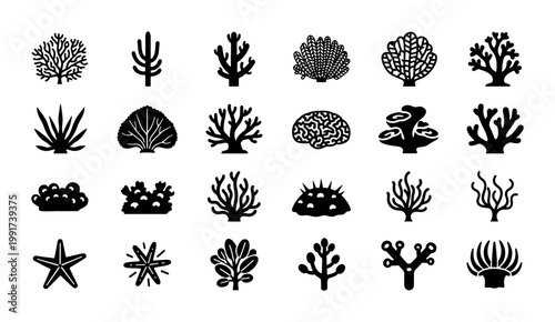 Minimalist coral reef icons set, black silhouette underwater sea plants and starfish, 24 marine life vector elements for aquatic branding
