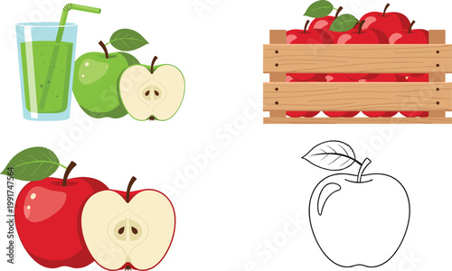 Apple collection with juice glass green and red fruits crate and outline sketch, fresh organic food vector illustration set isolated background