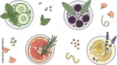 Top View Vector Illustration of Fresh Botanical Cocktails and Summer Mocktails with Grapefruit Cucumber Lavender and Mint Garnish for Bar Menu Design