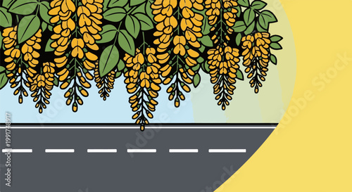 Yellow blossoms drape over a road with dashed white lines