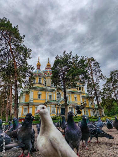 A stunning low-angle shot of the Holy Ascension Cathedral, a masterpiece of Russian Orthodox wooden architecture built in 1907. The vibrant yellow facade and colorful domes are framed by pine trees.