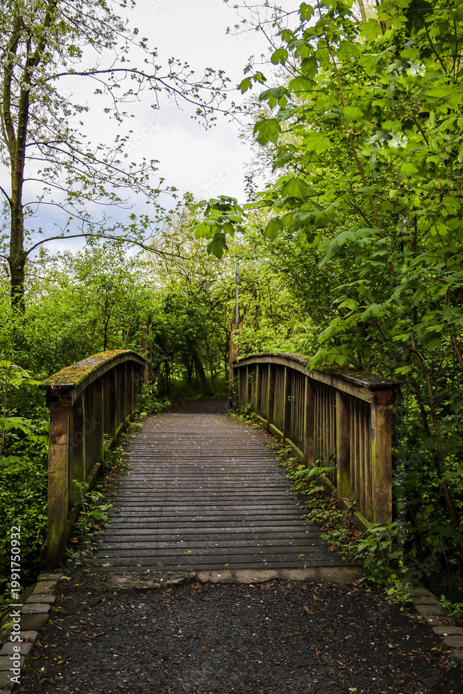 Fototapeta premium Old mossy wooden footbridge in a lush green spring forest