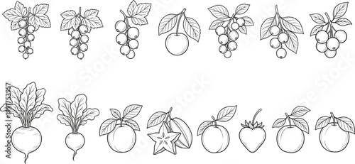 Hand Drawn Fruit and Vegetable Outline Illustration Set with Grapes, Apple, Strawberry, Starfruit, and Root Vegetables for Organic Food Design