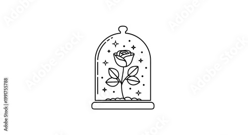 Enchanted Rose Under Glass Dome