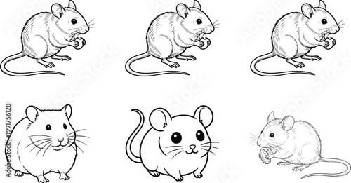 Mouse and Rat Illustration Set with Cute Cartoon Rodents and Hand Drawn Animal Sketches for Pet, Wildlife, and Character Design