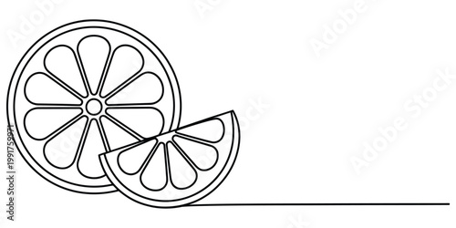 Minimalist continuous line art illustration of a round citrus slice and a small wedge