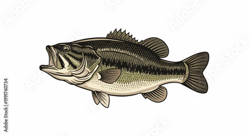 A detailed illustration of a bass fish with an open mouth and detailed scales
