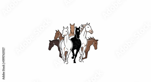 A group of seven horses, in various brown, white, and black colors, run together