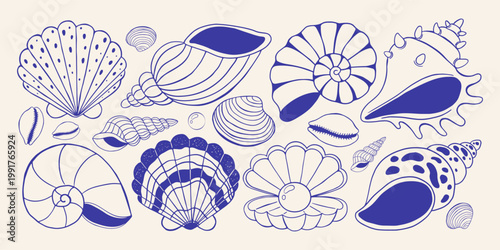 Seashell collection with various ocean shells and pearl in oyster. Blue hand drawn doodle marine elements on light background. Useful for stickers, packaging and summer decor. Vector illustration.