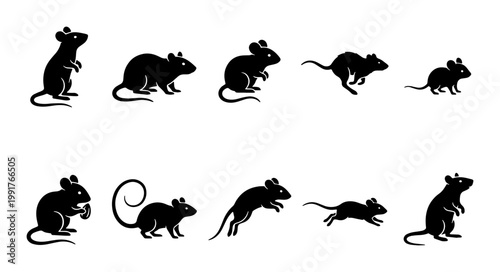 Black mouse silhouette collection, set of 10 rodent icons in various poses, minimalist rat vector illustrations for pest control and wildlife design