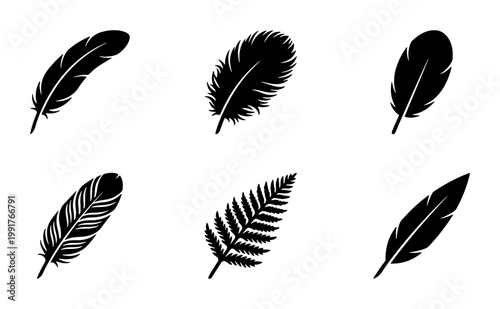 Black feather silhouette collection, set of 6 bird plumage icons. Minimalist quill and wing feather vector elements for logo design and branding.