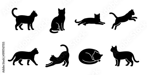 Black cat silhouette collection, 8 domestic feline vector icons in various poses, minimalist animal silhouettes for pet shop branding and logos