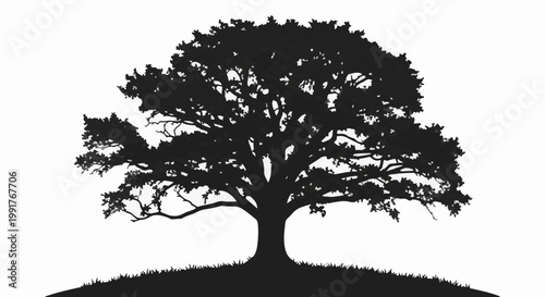 A lone, sprawling tree casts a dark silhouette against a plain white background