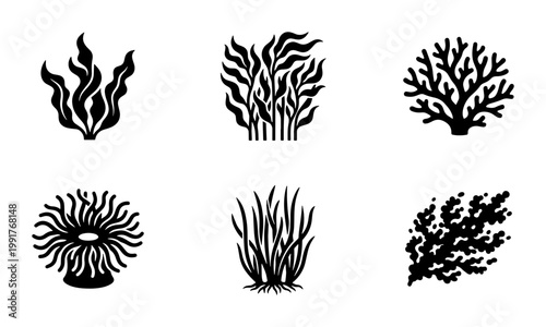 Black silhouette seaweed icons set, underwater coral reef plants and kelp vector elements, 6 aquatic botanical illustrations for marine design