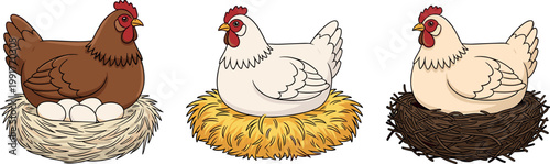 Set of hens sitting on nests with eggs illustration featuring brown white chickens on straw and twig nests isolated on background