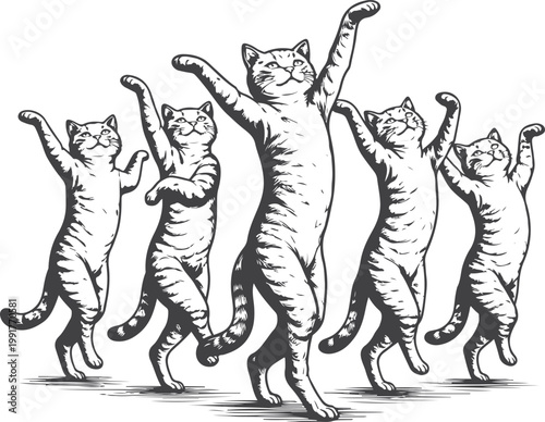 Photography set of funny cartoon cats vector