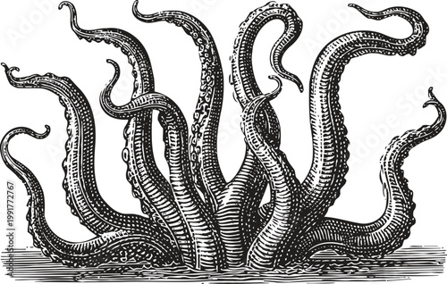 Black and white illustration of octopus tentacles rising from the ocean surface