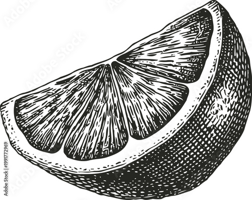 Detailed black and white illustration of a sliced citrus fruit wedge with textured peel and pulp