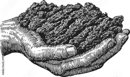 Hands holding a pile of irregular charcoal pieces vintage engraving of natural fuel for grilling or heating
