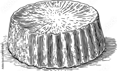 Hand drawn vintage tree stump illustration with detailed wood texture and bark patterns