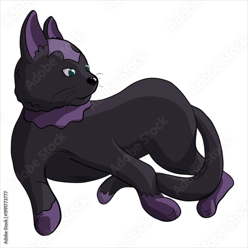 A beautiful and graceful cat lay down to rest.