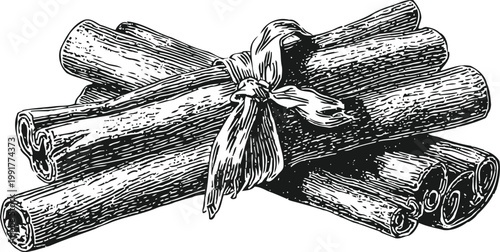 Bundle of cinnamon sticks tied with a ribbon, vintage engraving illustration of aromatic spice