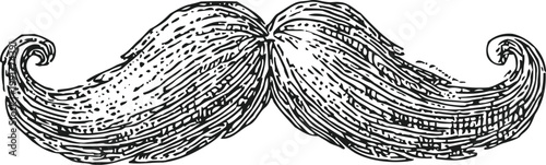 Vintage detailed mustache illustration with curled ends in black and white engraving
