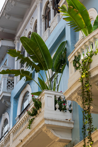 Old colonial building in Panama city's historic Casco viejo district presenting a blue facade, intricate white balustrades, and vibrant tropical foliage - stock photo