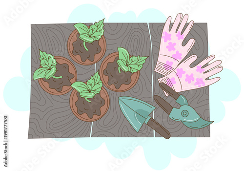 Top view vector illustration of garden seedlings in pots with floral gloves and tools on wooden table