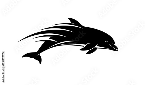 Dolphin silhouette set marine animal vector collection elegant shapes isolated on white background