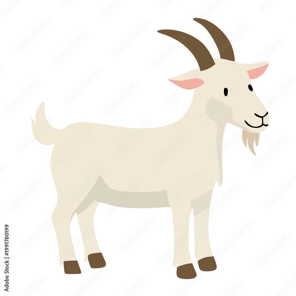 Obraz premium White Goat Standing Profile View Domestic Farm Animal Character