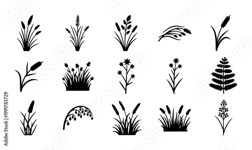 Black silhouette cattail and marsh grass icons, set of 15 botanical reed and swamp plant vectors, minimalist wild grass and bulrush illustrations