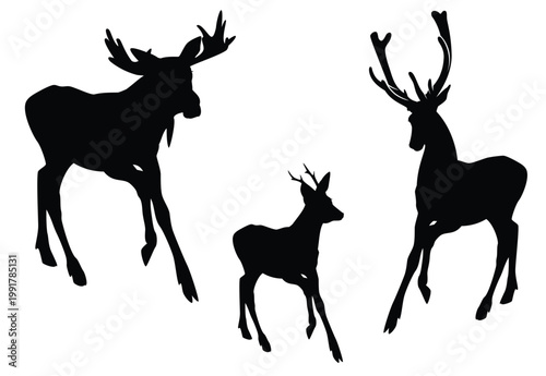 wild deer stag, elk and roe deer running forward black and white silhouette set - vector collection of forest animals detailed outlines