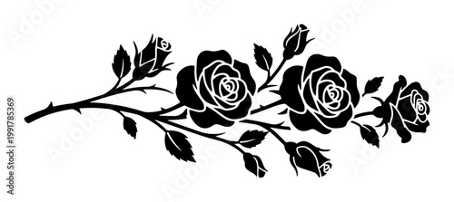 Vintage black rose silhouette branch, elegant floral blossom vector illustration, decorative rose flower stem with leaves and buds for wedding design