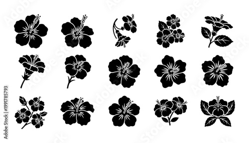 Hibiscus flower silhouette icons, tropical floral blossom vector set of 15 elements, black botanical garden plant graphics for summer design