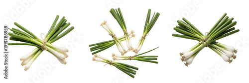 Quadro su tela Fresh spring onions tied together isolated on white background high resolution p