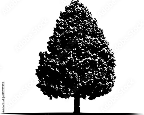 A lone dwarf variegated conifer with gold, blue, and green foliage stands in a tight globe shape against a pure white background, creating an ultra-realistic image of isolation and beauty