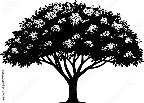 A mature deciduous Azalea shrub stands majestically, its vibrant orange blooms contrasting beautifully against the pristine white backdrop, creating an enchanting display of natures artistry