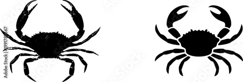 A strikingly detailed photograph of a single raw Soft Shell Crab, showcasing its delicate brownish-green hue against a pristine white backdrop